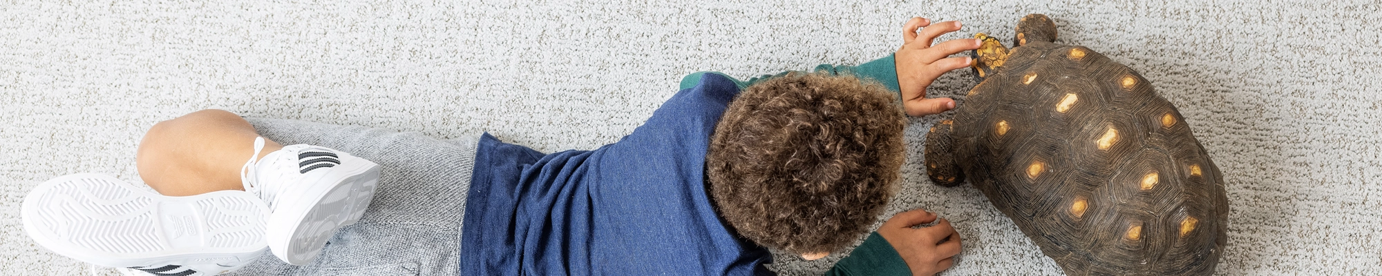 What Dan Good Flooring the BEST Choice for Flooring? Dan Good Flooring flooring associates will help you select the perfect flooring for your particular application.