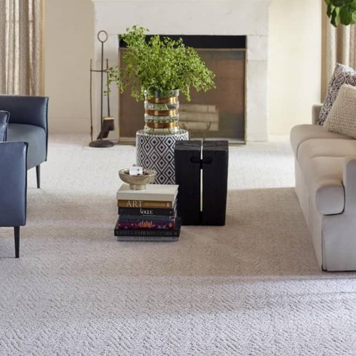 Living Room Pattern Carpet - Dan Good Flooring in Payson, AZ